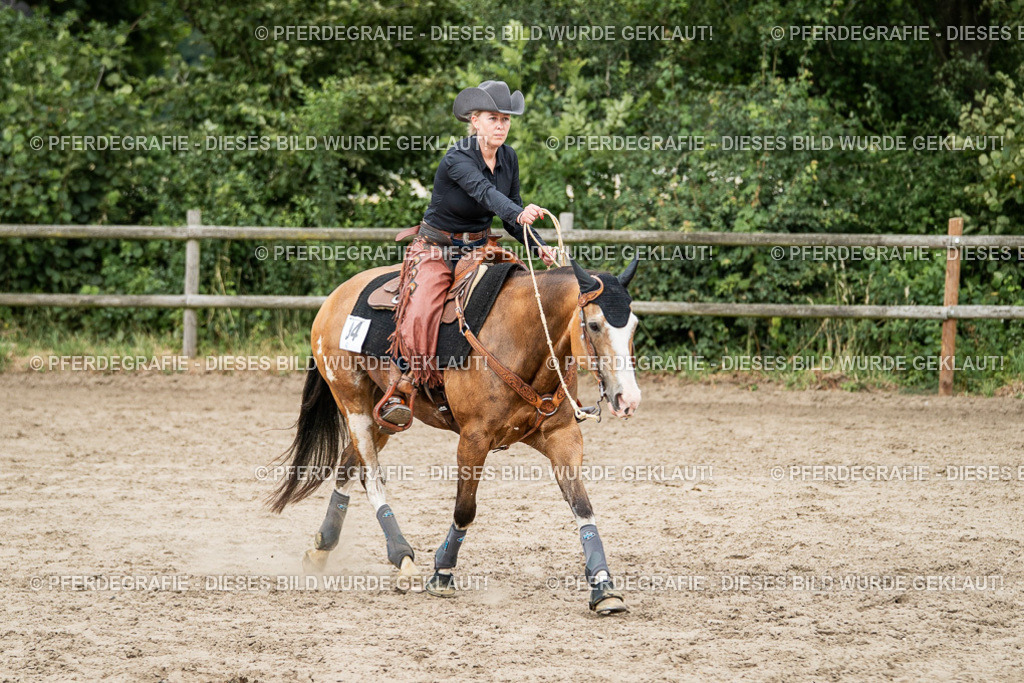 DSC01740 | Pferdegrafie