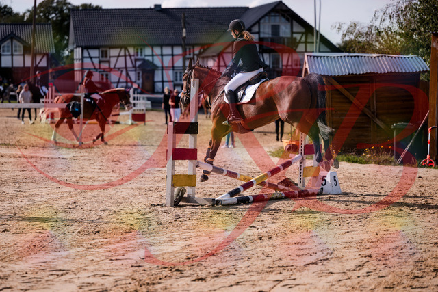 2026_10_03_Siefer-Hof_143535_Z81_04332510 | Professionelle Reitsport-, Turnier- und Eventfotografie von Robert Broda. Galerien mit ausgewählten und bearbeiteten Bildern direkt online ansehen und bestellen.
