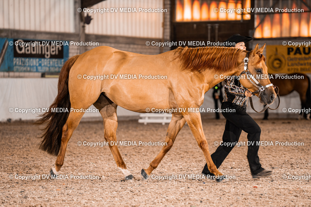 ZH100063 | dv-media-shop - Realisiert mit Pictrs.com