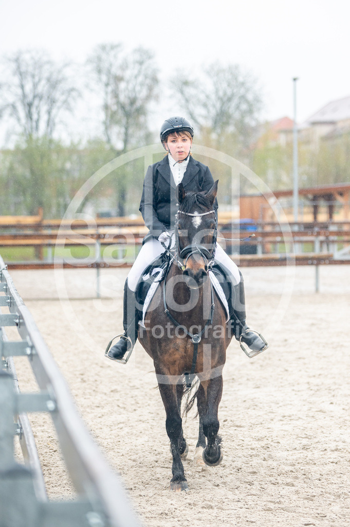 DSC_5460 | sattelsport - Realisiert mit Pictrs.com