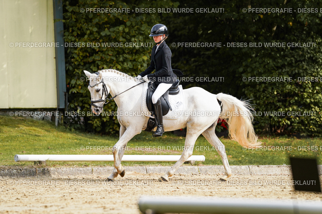 DSC04558 | Pferdegrafie