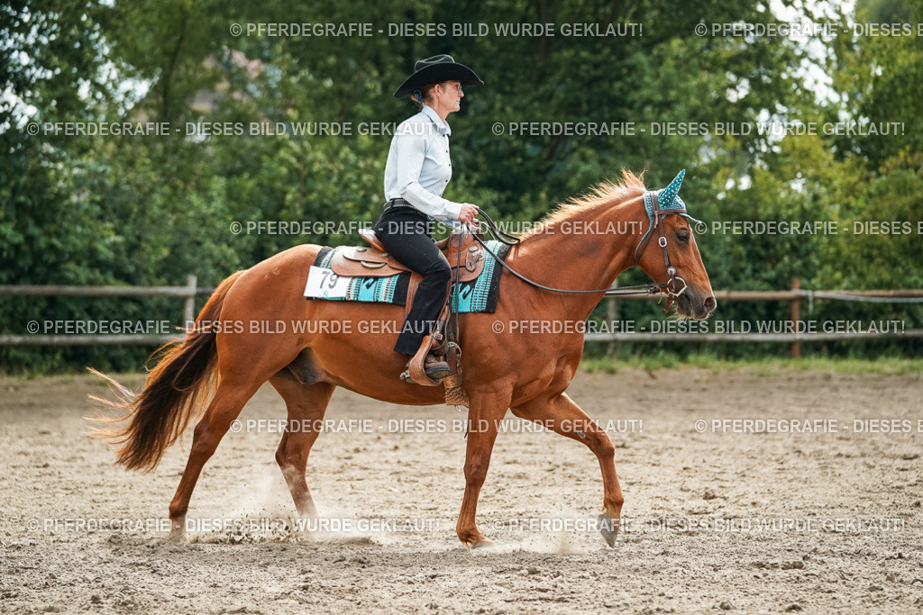 DSC03857 | Pferdegrafie