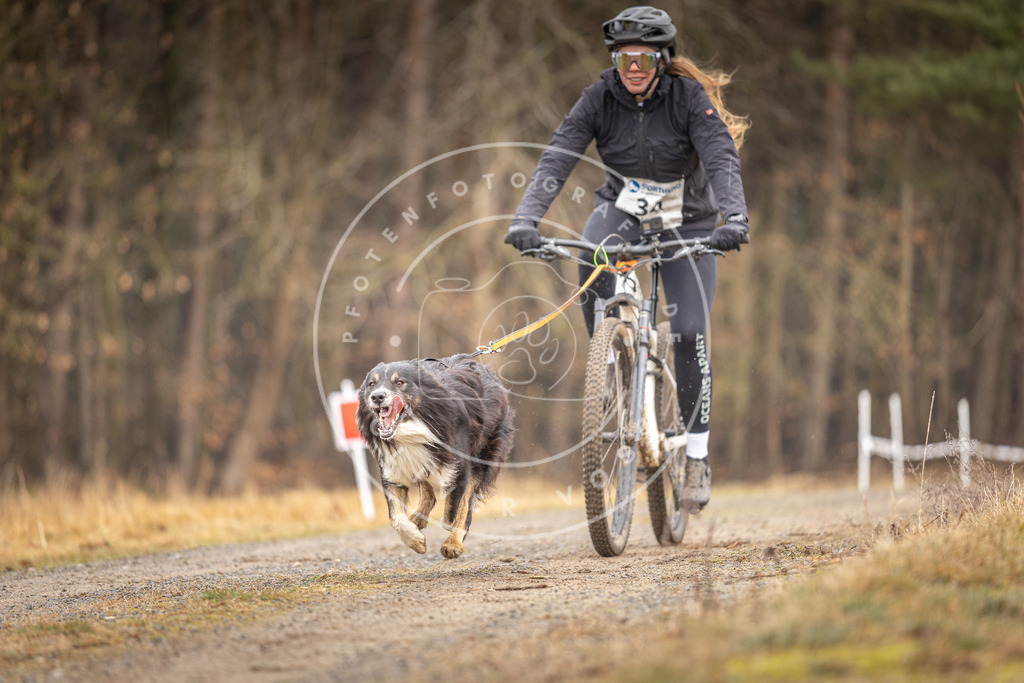 DV3A3356 | Hundefotografie, Tierfotograf, Pfotenfotografie, Fotoshooting Hund, Hunde Portrait, Hundesport, Hundeportraits, Heideshooting, Hunde, Sportfotograf, Hundefotograf, Turnierhundsport, THS,  - Realisiert mit Pictrs.com
