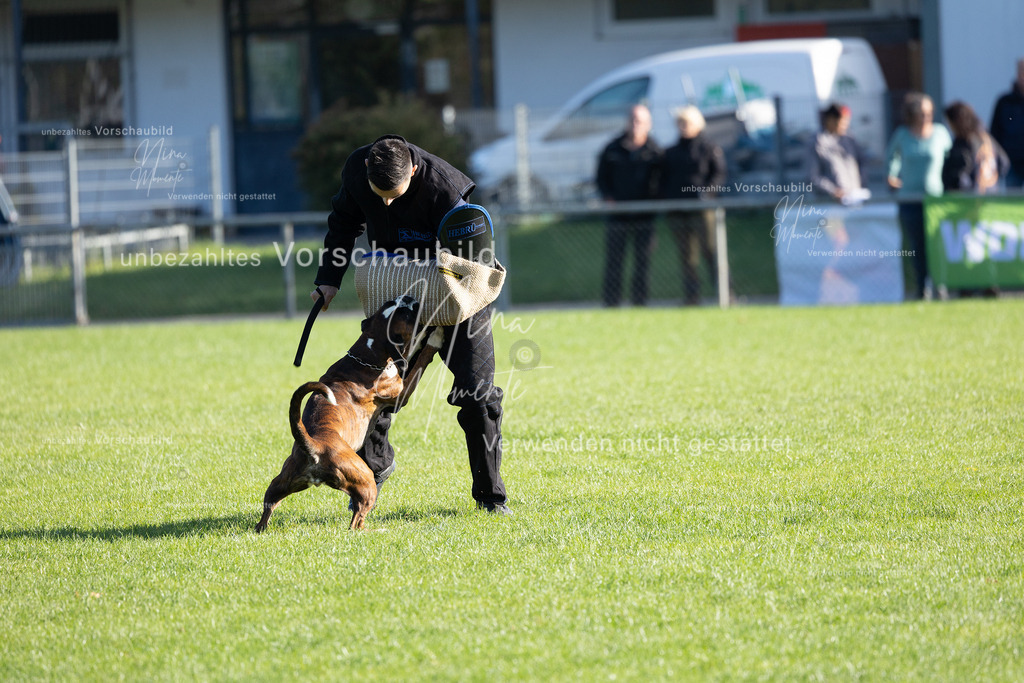 _16A5121 | Einzigartige Fotos von Hunden & Menschen –Actionfotos, Portraits, Vereinsaufnahmen & Paarshootings – authentisch, lebendig & mit Herz.