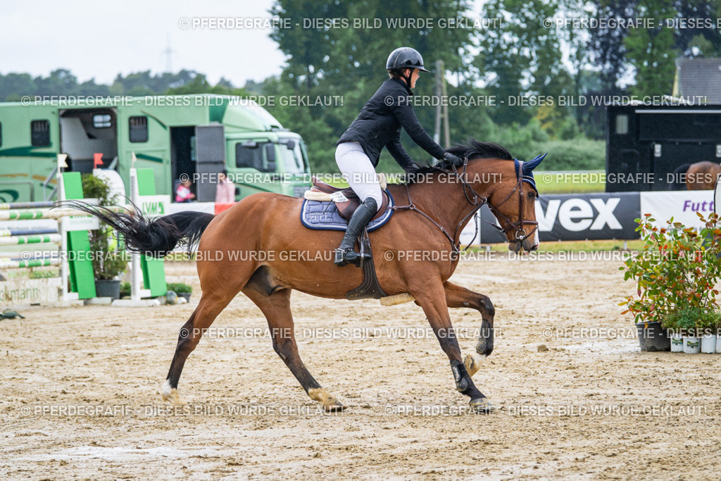 DSC03844 | Pferdegrafie