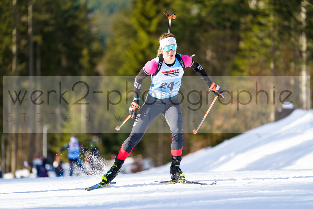 FESA Alpencup / DP Notschrei | Deutschland Pokal Finale im Schwarzwald NORDIC-CENTER Notschrei am 7. - 8. Februar 2026