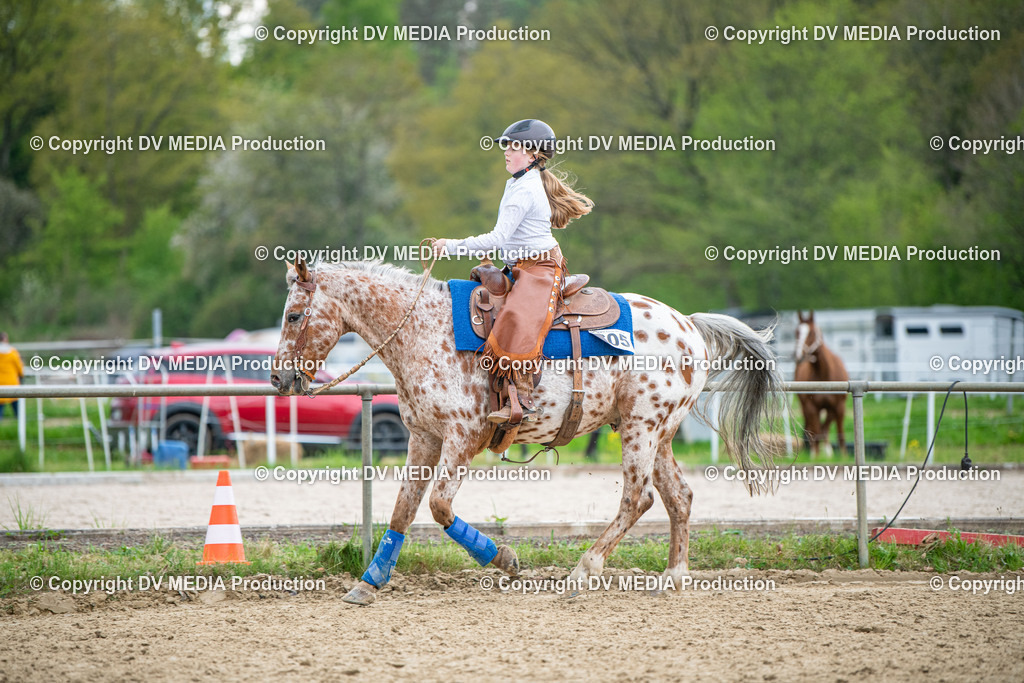 Heiligenwald Tag 1-1291 | dv-media-shop - Realisiert mit Pictrs.com