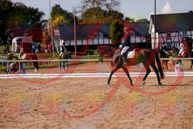 2026_10_03_Siefer-Hof_130229_Z81_56897830 | Professionelle Reitsport-, Turnier- und Eventfotografie von Robert Broda. Galerien mit ausgewählten und bearbeiteten Bildern direkt online ansehen und bestellen.