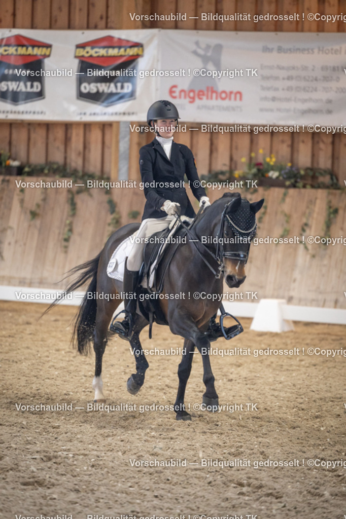 _D5A1849 | Emotionale Pferde- & People-Fotografie rund um Heidelberg, Leimen & Umgebung. Natürliche Fotos von Pferd, Mensch & Familie. Jetzt Termin sichern!