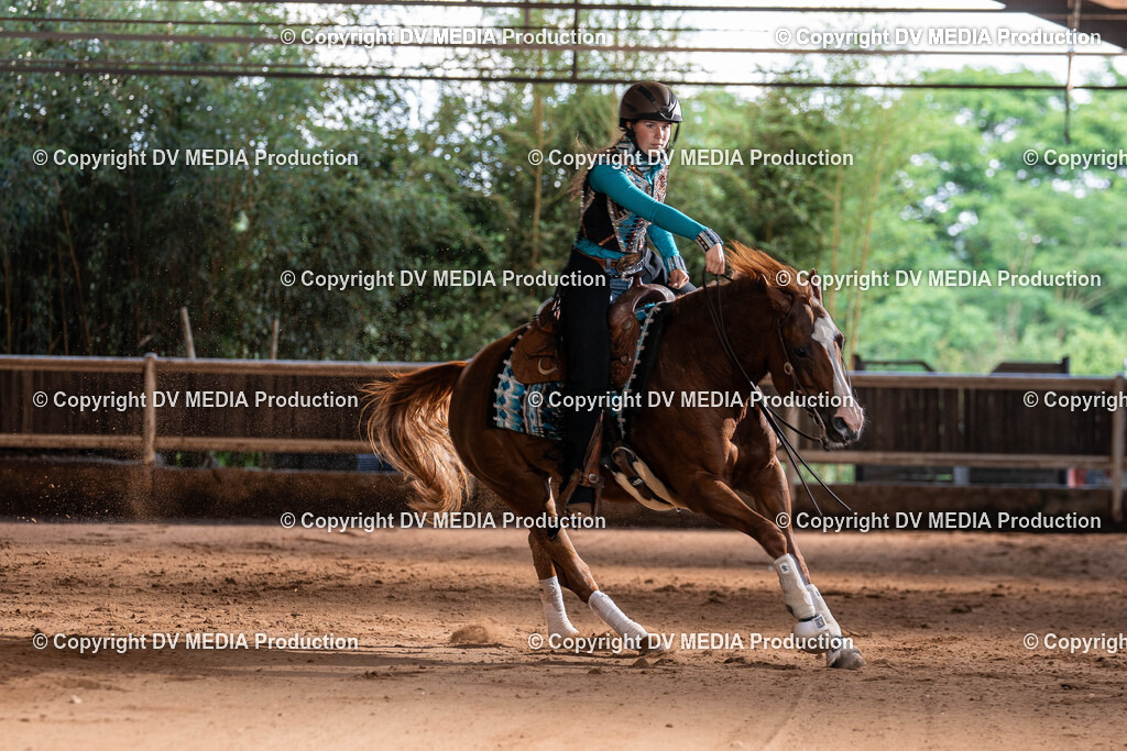 Erbach Tag 2-936 | dv-media-shop - Realisiert mit Pictrs.com