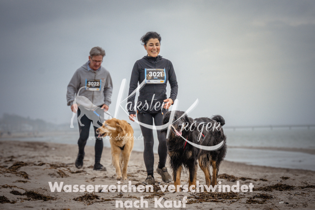 1046_ZZ95912 | kk-dogfotos