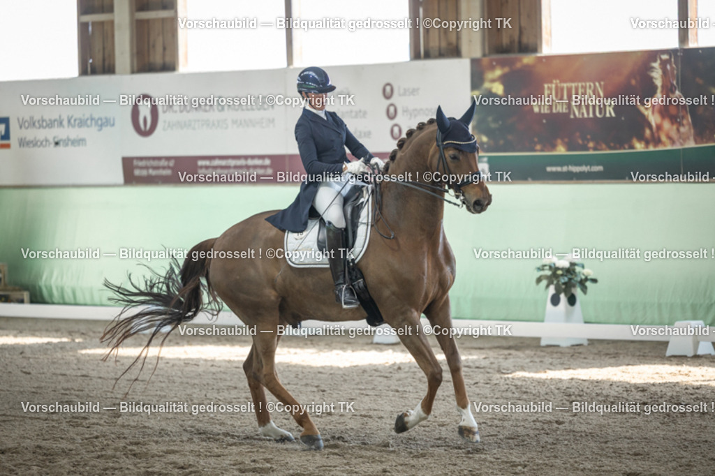 _D5A9647 | Emotionale Pferde- & People-Fotografie rund um Heidelberg, Leimen & Umgebung. Natürliche Fotos von Pferd, Mensch & Familie. Jetzt Termin sichern!