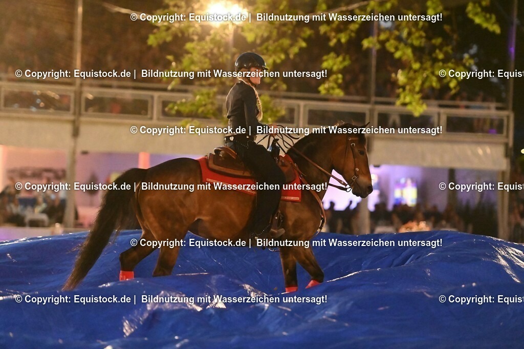 20230526_Pferdenacht_1019 | equistock