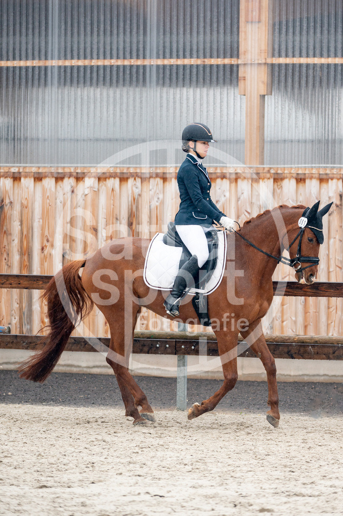 DSC_5467 | sattelsport - Realisiert mit Pictrs.com