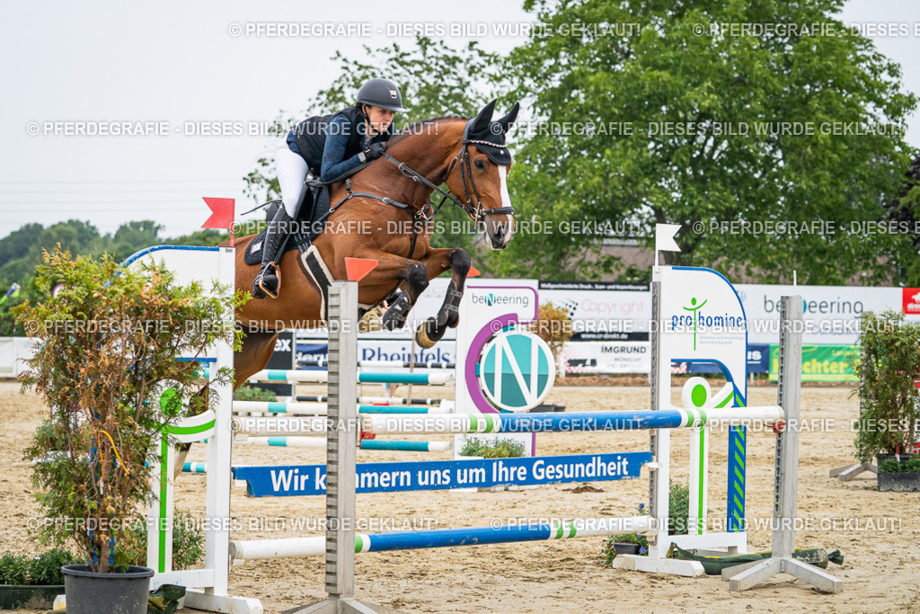 DSC00078 | Pferdegrafie