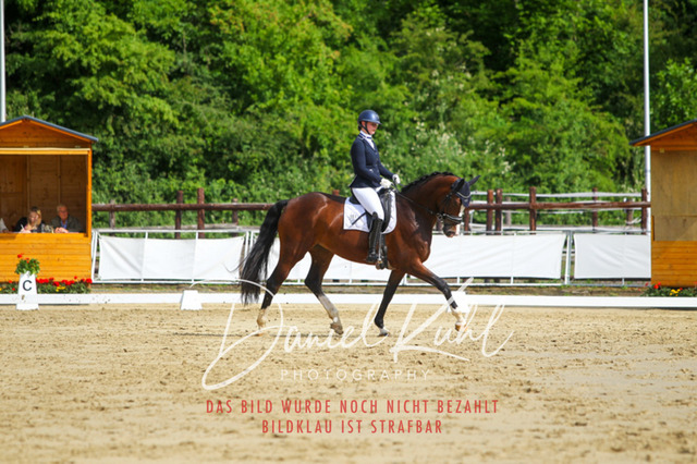 DKP45542 | Turniersportfotografie; Pferdefotografie; Dressurfotografie