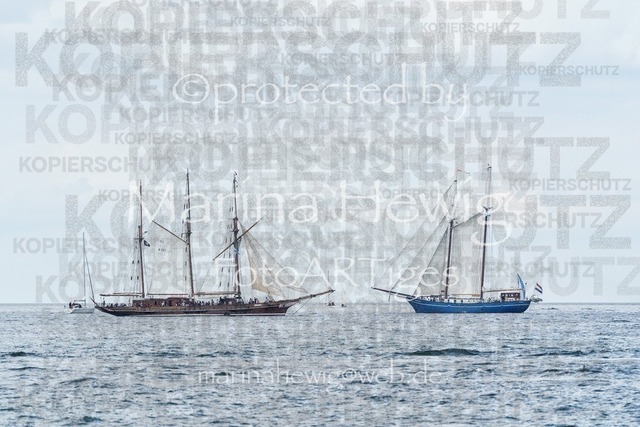 Generated Image | Fotografie, FotoArt, PferdesportArt, Pferdesportfotografie, Landschaftsfotografie, Reisefotografie, Reise, Pferde - Realisiert mit Pictrs.com