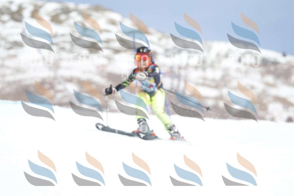 _U3G2927 | holidayphoto