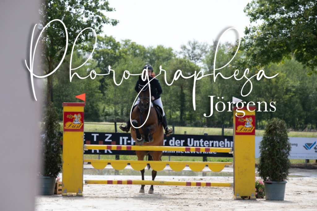 IMG_4004 | photographesa-joergens - Realisiert mit Pictrs.com