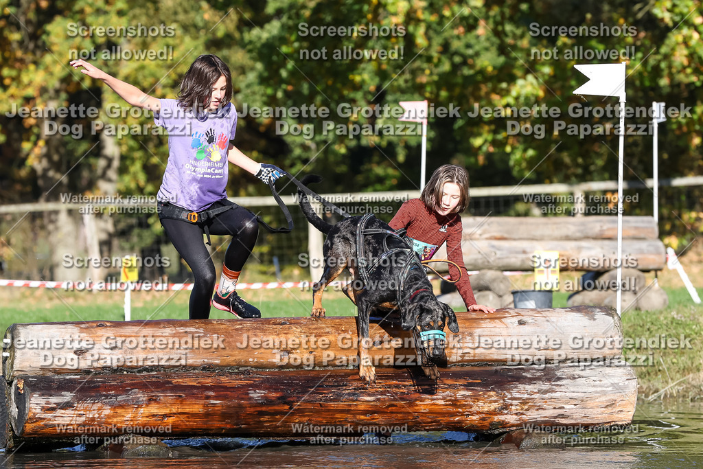 Dog Paparazzi - Strongdog 10-25-8927 | Dog Paparazzi Jeanette Grottendiek Fotografie & Videografie - Realisiert mit Pictrs.com