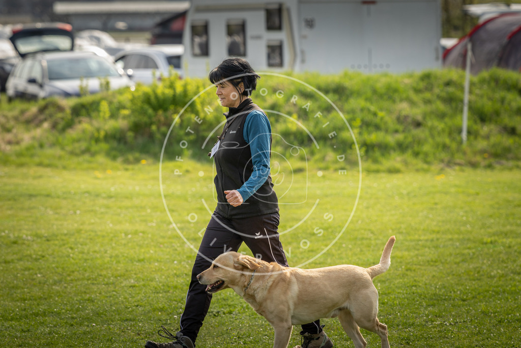 Pfotenfotografie_DV3A4993 | Hundefotografie, Tierfotograf, Pfotenfotografie, Fotoshooting Hund, Hunde Portrait, Hundesport, Hundeportraits, Heideshooting, Hunde, Sportfotograf, Hundefotograf, Turnierhundsport, THS,  - Realisiert mit Pictrs.com