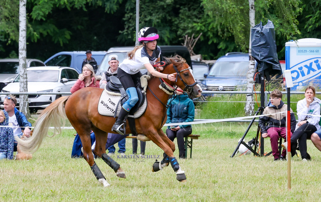 1B3A1325 | Reitsport Reiten