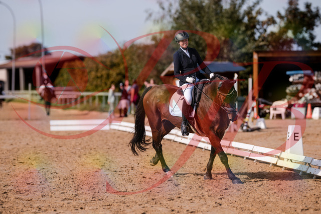 2026_10_03_Siefer-Hof_123141_Z81_30275168 | Professionelle Reitsport-, Turnier- und Eventfotografie von Robert Broda. Galerien mit ausgewählten und bearbeiteten Bildern direkt online ansehen und bestellen.