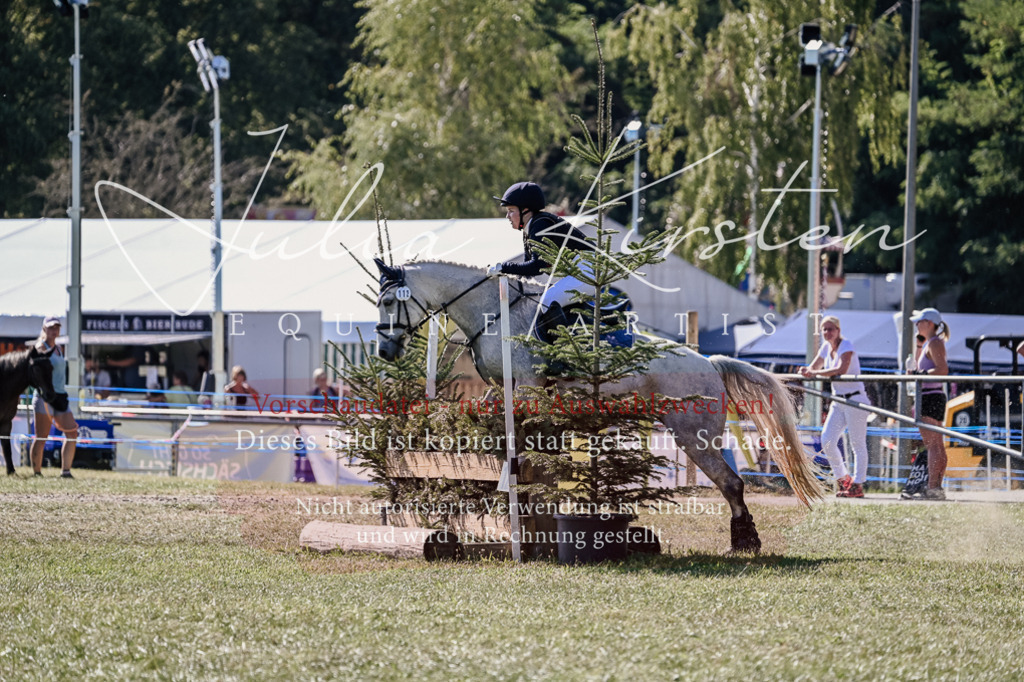 DSC_3219 | Pferde- und Turnierfotografie in Westsachsen. Pferdeportraits, Auftragszeichnungen und intuitive Kunst.