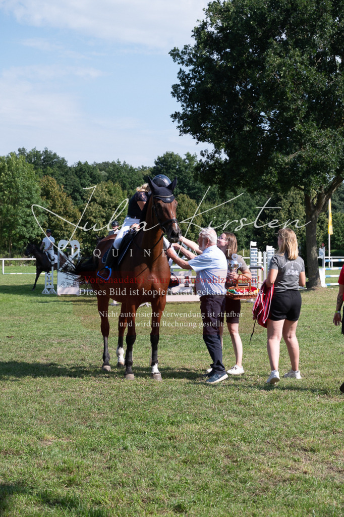 DSC_1028 | Pferde- und Turnierfotografie in Westsachsen. Pferdeportraits, Auftragszeichnungen und intuitive Kunst.
