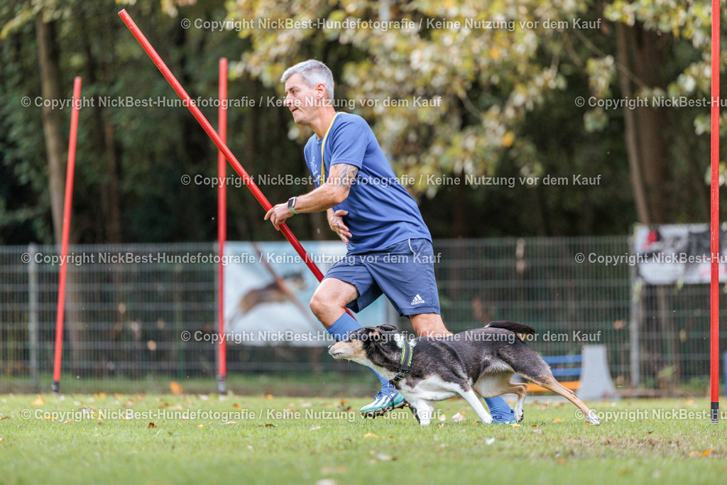 THS-HSV-Blumenthal-2026-Nickbest-Hundefotografie-1886 | Dein Hund! Dein Moment! Deine Erinnerungen! Hundefotografie in Bremen Blumenthal. Ich fange die besonderen Momente deines Vierbeiners ein – ob Indoor mit Blitzanlage oder in der freien Natur. Sicher dir dein Moment und dein Termin für eure Erinnerungen.