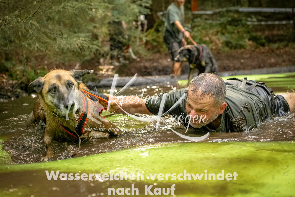 1409_ZZ91207-Bearbeitet | kk-dogfotos