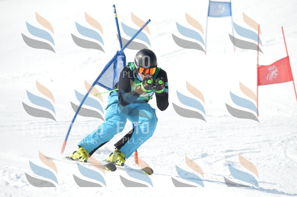 D9209 | holidayphoto