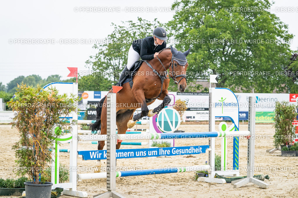 DSC00487 | Pferdegrafie