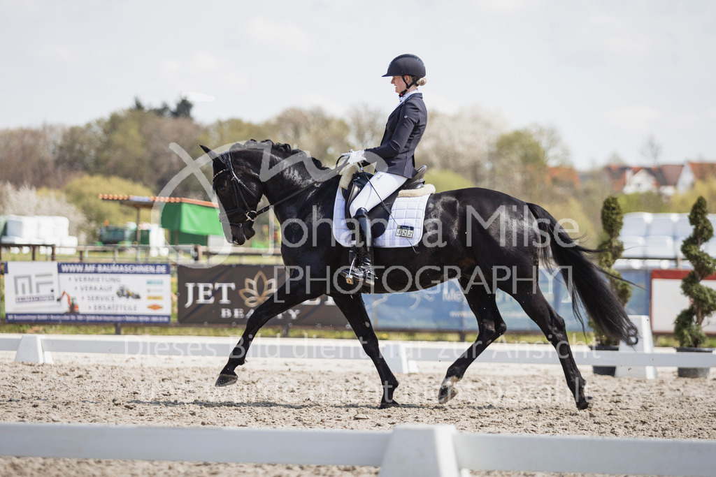 250416_Dressurpferde-L-243 | Deine schönsten Turniermomente als professionelle Fotos! Entdecke hochwertige Pferdesport-Fotografie im Online-Shop. Jetzt Fotos finden & bestellen!