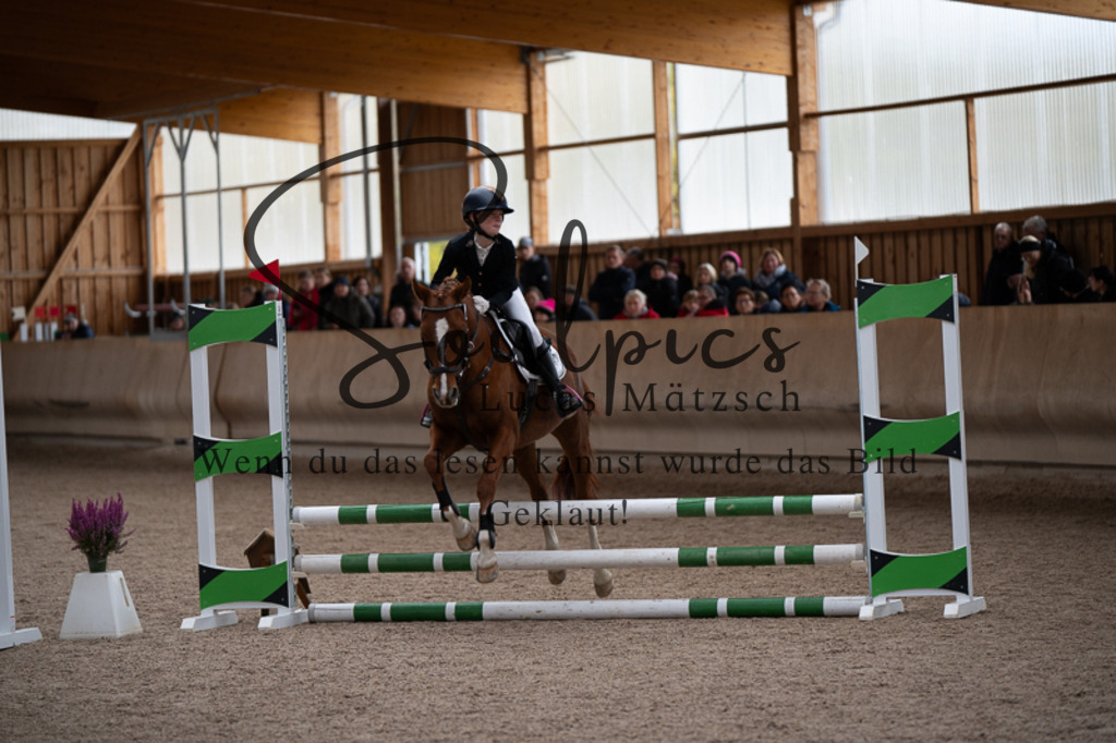 A7V02892 | Pferdefotograf