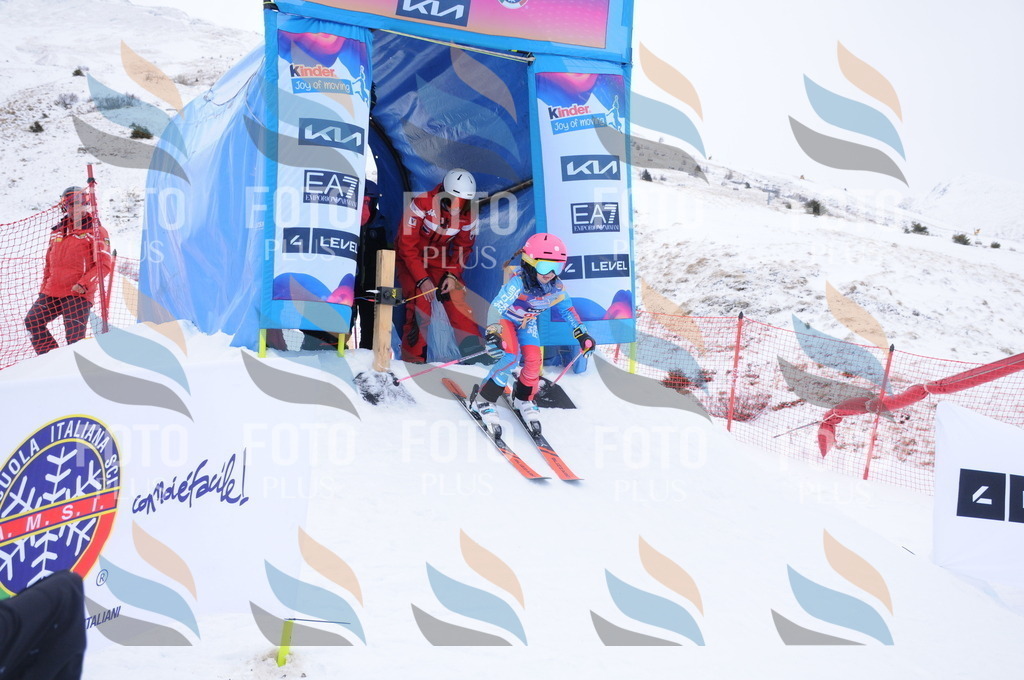 DSC_8322 | holidayphoto