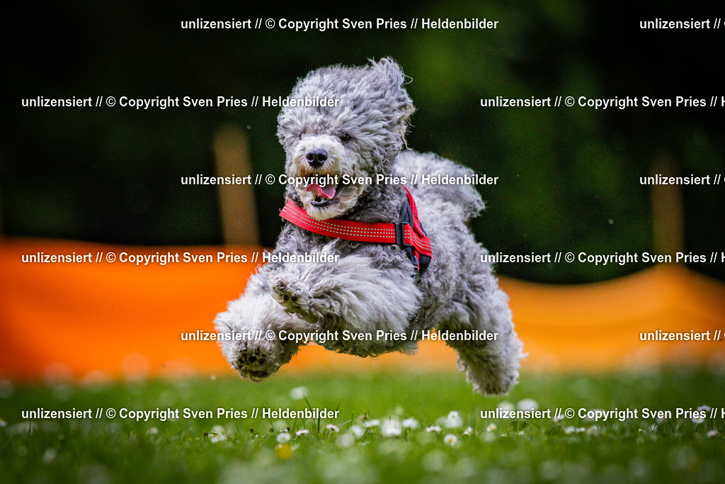 Sven Pries | 2025-05-29 - Pudelrennen KA-Durlach - Realisiert mit Pictrs.com