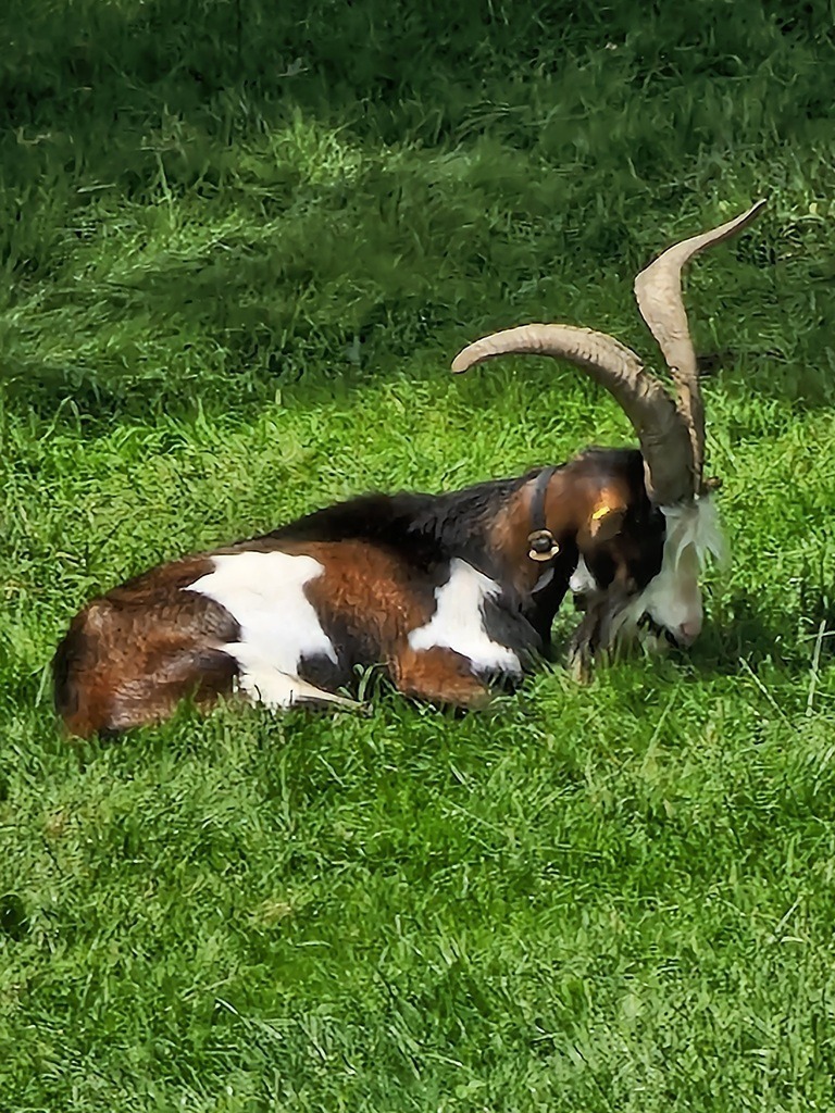 20230726_130643 | Heilkarten - Realisiert mit Pictrs.com