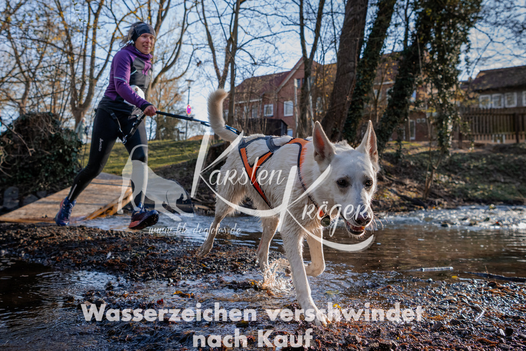 0812_ZZ90064 | kk-dogfotos