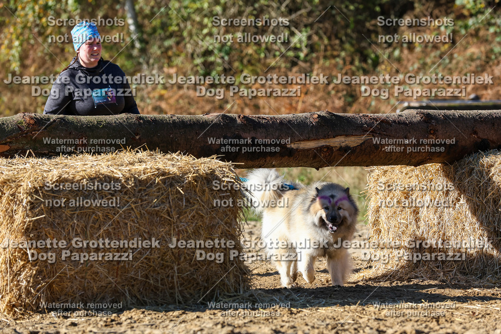 Dog Paparazzi - Strongdog 10-25-2561 | Dog Paparazzi Jeanette Grottendiek Fotografie & Videografie - Realisiert mit Pictrs.com