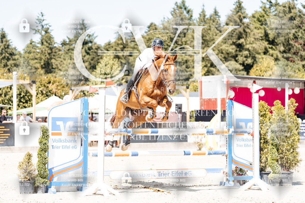 CK900693 | Turnierfotografie Pferdefotografie Trier Rheinland-Pfalz Pferdesport Reitsport Tierfotografie Sportfotografie Pferdevideo Pferdevideografie Equestrianvideography equestrianphotography  - Realisiert mit Pictrs.com