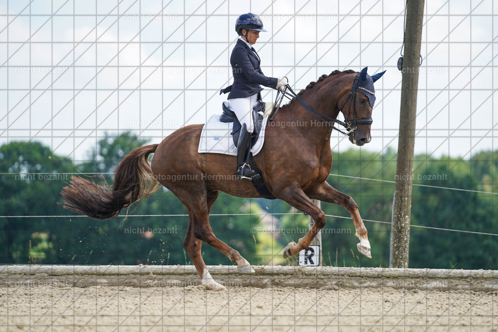 20230826-FAH05809 | Forstinning, 2023, Dressurturnier, Turniersportbilder, Turnierfotografen Bayern, Fotoagentur Herrmann, Reitsportfotografie, Turnierbilder
