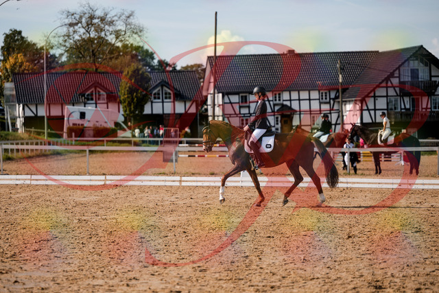 2026_10_03_Siefer-Hof_132849_Z63_90231218 | Professionelle Reitsport-, Turnier- und Eventfotografie von Robert Broda. Galerien mit ausgewählten und bearbeiteten Bildern direkt online ansehen und bestellen.