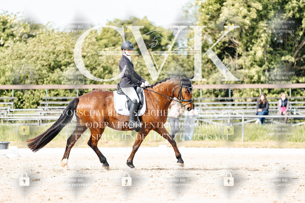 CK900385 | Turnierfotografie Pferdefotografie Trier Rheinland-Pfalz Pferdesport Reitsport Tierfotografie Sportfotografie Pferdevideo Pferdevideografie Equestrianvideography equestrianphotography  - Realisiert mit Pictrs.com