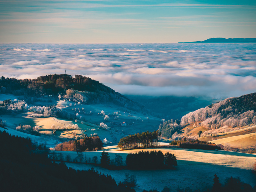 P1073372 | Bilder-Onlineshop für Heimatbilder vom Schwarzwald und Oberrhein. Galeriebilder auf Acrylglas, Alu-Dibond, Leinwand und Poster online bestellen. Der Schwarzwald als Wandbild für Ihr Zuhause! | Art, Kunst, Wandbilder, Black Forest, Deko - Realisiert mit Pictrs.com