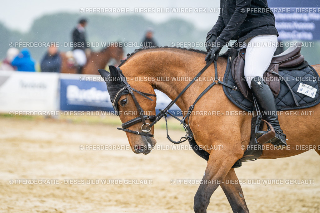 DSC02991 | Pferdegrafie