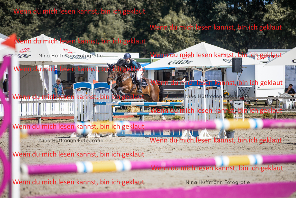 BK1A6964 | Turnierbilder Turnierfotos Nina Hüffmann Turnierfotografie Pferdefotografie Tierzeichnung Haustierzeichnung Pferdezeichnung Hundezeichnung Videograf  - Realisiert mit Pictrs.com