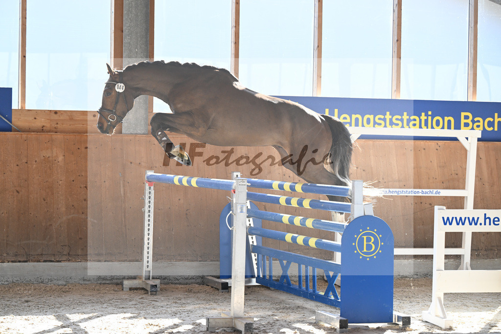 Kat-Nr. 44 Uganos Quabri Sitte v. Ugano Sitte_Keitel u Eder_14261566 | hf-fotografie - Realizzato con Pictrs.com
