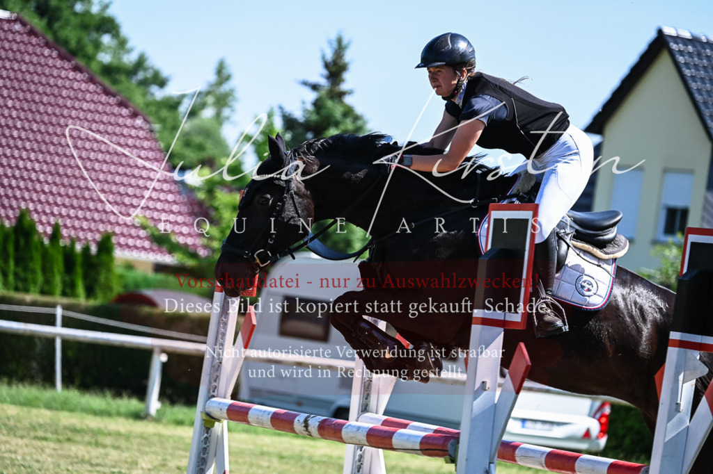 DSC_1343 | Pferde- und Turnierfotografie in Westsachsen. Pferdeportraits, Auftragszeichnungen und intuitive Kunst.