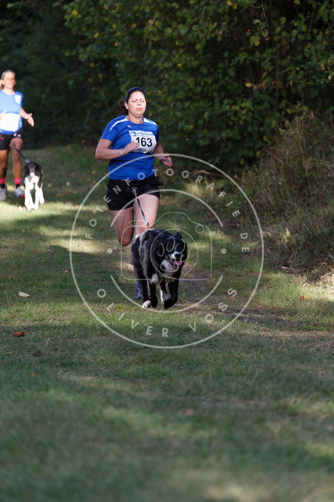 0L8A5258 | Hundefotografie, Tierfotograf, Pfotenfotografie, Fotoshooting Hund, Hunde Portrait, Hundesport, Hundeportraits, Heideshooting, Hunde, Sportfotograf, Hundefotograf, Turnierhundsport, THS,  - Realisiert mit Pictrs.com